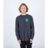 Фото #1 товара HURLEY Everyday The Box long sleeve T-shirt