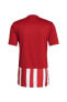 Фото #2 товара Футболка Adidas Striped 21 (ADGN7624) для мужчин