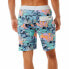 Фото #2 товара RIP CURL Mirage Postcards Swimming Shorts