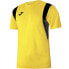 Фото #2 товара Joma Dinamo T-shirt 100446.900