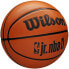Фото #2 товара Basketball ball Wilson Jr NBA Fam Logo WZ3013001XB6