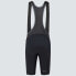 Фото #4 товара OAKLEY APPAREL Endurance Ultra bib shorts