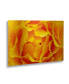 Kurt Shaffer Hypnotic Yellow Rose By Kurt Shaffer Floating Brushed Aluminum Art - 22" x 25"