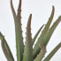 Фото #14 товара Искусственные цветы Homescapes Комнатное растение Aloe Vera 30 см