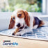 Фото #7 товара PURINA Dentalife Small 49g Dog Snack 2 Units