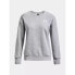 Фото #1 товара Under Armor Sweatshirt W 1373032-011