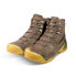 Mammut Sapuen High Gtx