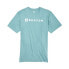 BURTON Horiztonal MTN short sleeve T-shirt