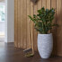 Фото #4 товара Vase Nature Rib Elegant Deluxe 3005610