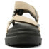 Фото #5 товара PALLADIUM Pallacruise Strap sandals