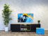 Фото #5 товара Philips 48OLED809 - Ambilight (2024) + Soundbar + HDMI Cable