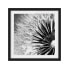 Фото #1 товара Bild Pusteblume Schwarz & Weiß I