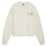 PUMA ESS+ Class Act sweatshirt