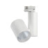 PAULMANN 91344 - Rail lighting spot - Non-changeable bulb(s) - 1 bulb(s) - LED - 4000 K - White