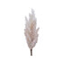 Decorative Plant Everlands Pampas (Ø 9 x 90 cm)