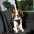 Фото #1 товара Автомобильные шлейки для собак TRIXIE (M) 50–65 см/20 мм