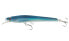 BBS - Blue Back Shad