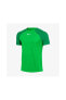 Фото #1 товара Dh9225 M Nk Df Acdpr Ss Top K T-shirt Yeşil