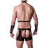 Harness Set im Wetlook, 4‑teilig