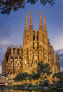 Фото #2 товара Детский развивающий пазл Educa Puzzle 1000 elementów Sagrada Familia (583932)