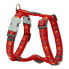 Фото #1 товара RED DINGO Style Huella Harness