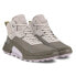 Ecco Biom 2.1 Mountain Mid Gtx