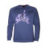 [BV6006-557] Mens Air Jordan Jumpman Classics Crewneck