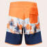 Фото #4 товара OAKLEY APPAREL Palm Florals RC 19” Swimming Shorts