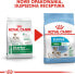 Фото #7 товара Royal Canin SHN Mini Starter M&B 1 kg