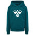 Фото #2 товара HUMMEL Cuatro hoodie