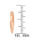 ფოტო #2 პროდუქტის 18K Rose Gold Plated Stainless Steel Flat Hoop Earrings