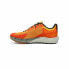 Фото #1 товара Беговые кроссовки для взрослых Altra Timp 4 Оранжевый