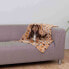 Фото #5 товара TRIXIE Laslo Blanket