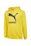 Фото #1 товара Толстовка унисекс PUMA 77313903 FSK Cat Hoody