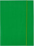 Фото #1 товара Папка для документов картонная с резинкой A4 зеленая D.RECT