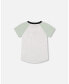 Boy Organic Cotton Raglan T-Shirt Oatmeal Mix - Child