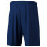 Фото #2 товара ERIMA Team sweat shorts