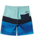 Toddler & Little Boys Everyday Panel Boy Boardshorts