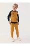Фото #4 товара Спортивный костюм для мальчиков RolyPoly Dark Mustard 2-7 лет