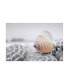 Фото #1 товара Alan Blaustein Crescent Beach Shells 15 Canvas Art - 19.5" x 26"