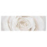 Фото #1 товара Bild Pretty White Rose I