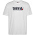 TOMMY JEANS Regular Dna Flag Ext short sleeve T-shirt