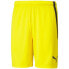 Фото #1 товара Puma team shortsLIGA M 704924 07