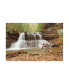 Фото #1 товара Monte Nagler Two Deer at Holly River Falls West Virginia Canvas Art - 37" x 49"