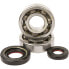 Фото #1 товара HOTRODS Yamaha 2001-2024 YZ250 Crank Shaft Bearing&Seal Kit