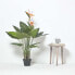 Фото #4 товара Искусственные цветы Homescapes Königsstrelitzieующие Strelitzia Reginae.