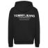 TOMMY JEANS Reg Entry Graphic hoodie