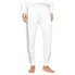 Фото #1 товара TOMMY HILFIGER UM0UM03198 sweat pants