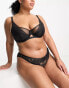 Dorina Curve Astrid non padded bra with lace detailing in black