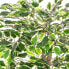 Фото #3 товара Искусственные цветы Homescapes Ficus Benjamini с зелено-белыми листьями 122 см